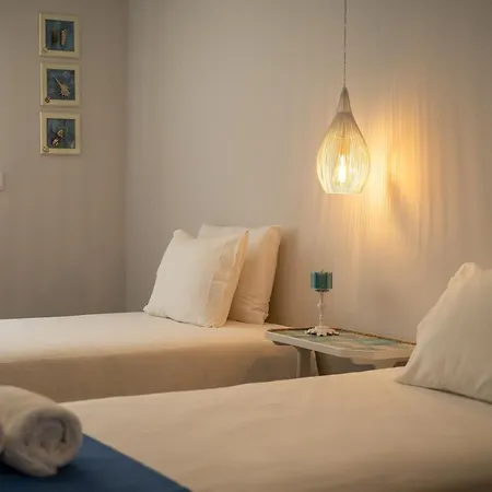 Nest Apartment
